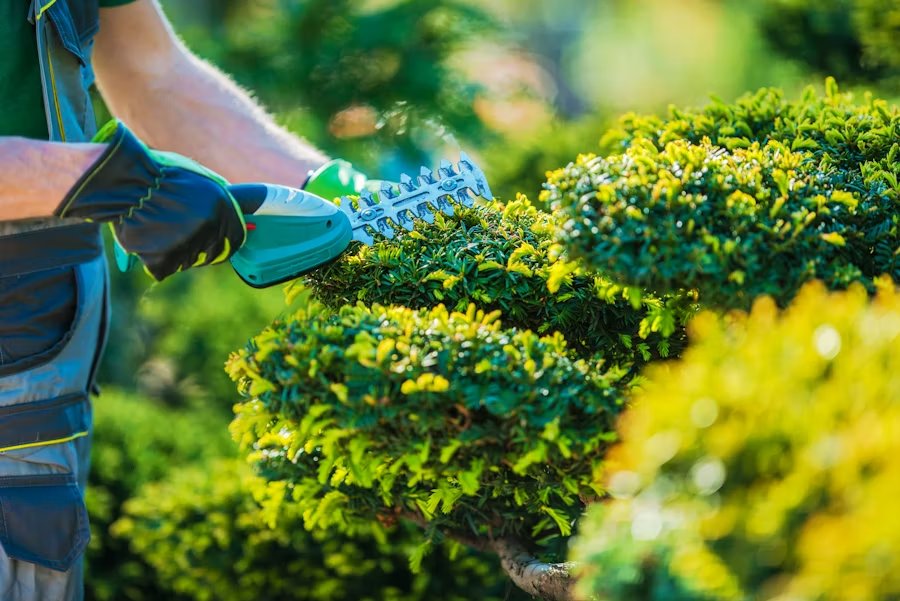 Landscaping & garden care Dubai